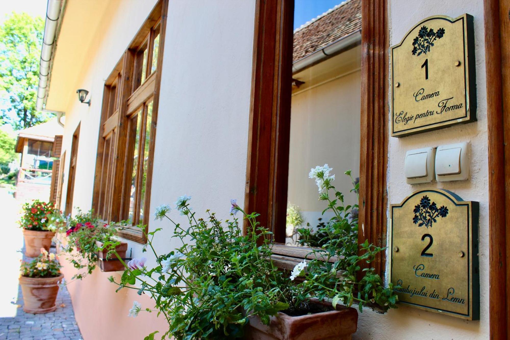 Pensiunea Agora Cisnădioara Extérieur photo