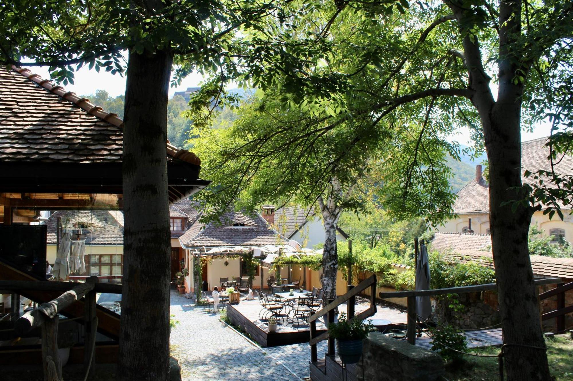 Pensiunea Agora Cisnădioara Extérieur photo